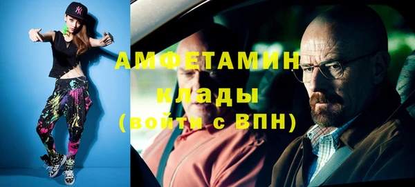 дживик Верхний Тагил