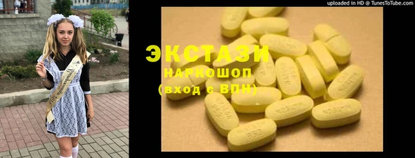 дживик Верхний Тагил