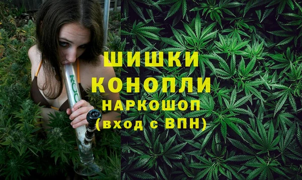 мдпв Верея