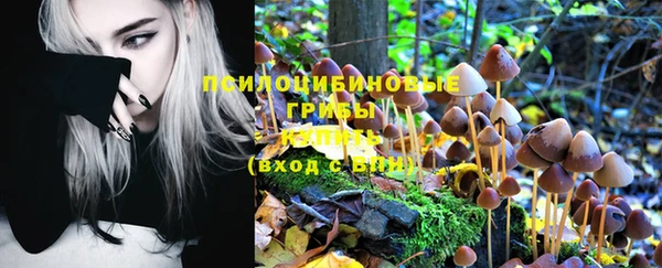 дживик Верхний Тагил