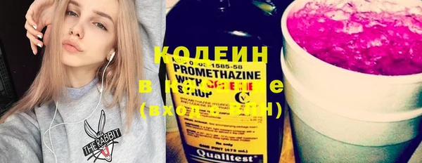 мдпв Верея