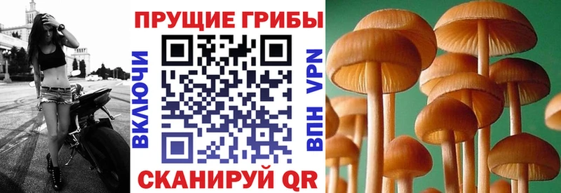 Купить закладки Дубна Галлюциногенные грибы мухоморы